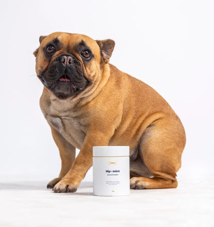 Hip & Joint (za zdrave sklepe in kosti)